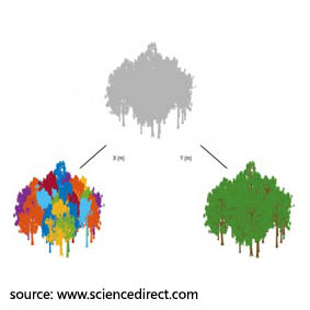 ورشة عمل بعنوان: Instance Segmentation: Fundamentals and Applications